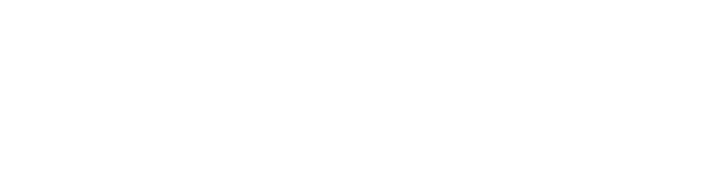 CleanerFlow Agenda